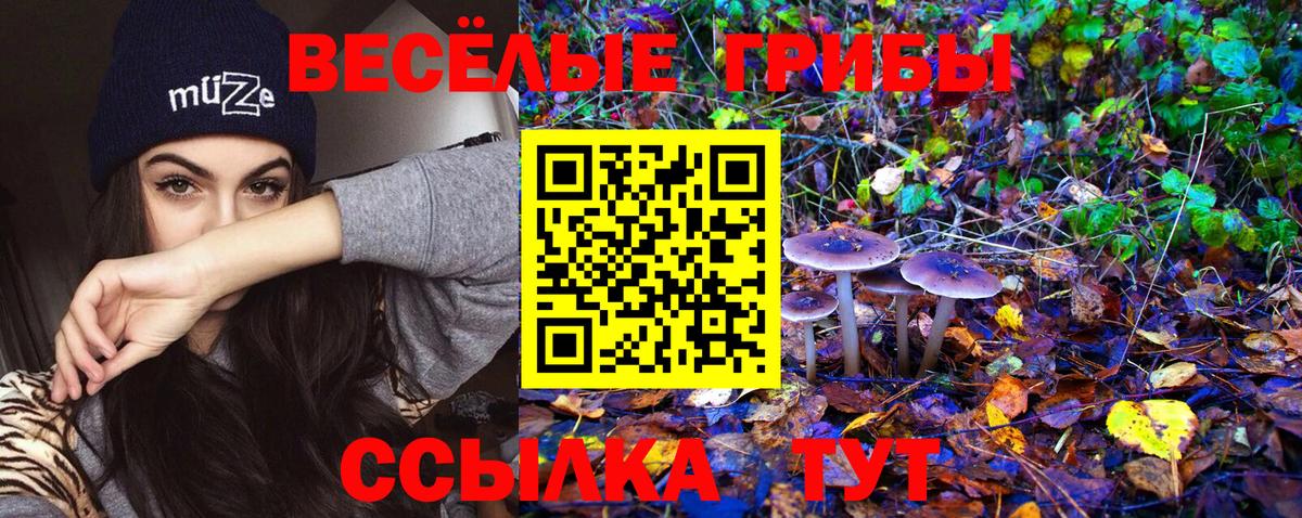 Сосновоборск  Псилоцибиновые грибы GOLDEN TEACHER  Вход с VPN 